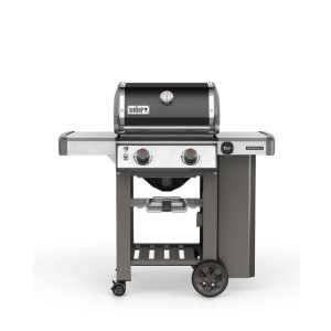 Genesis E-210 GBS gas bbq