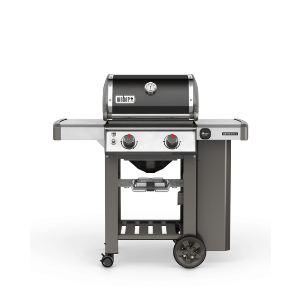 Genesis E-210 GBS gas bbq